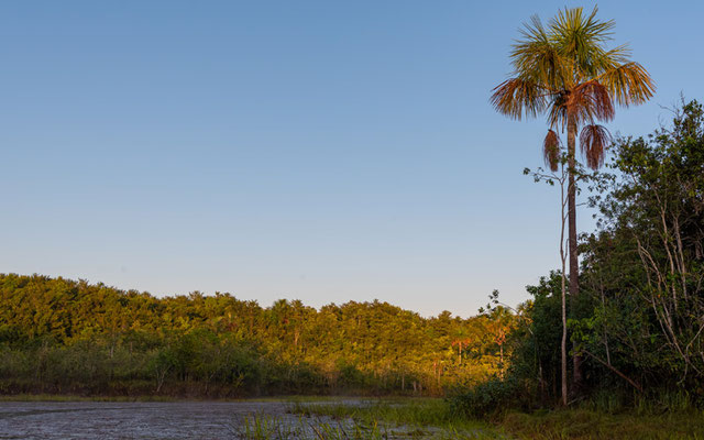 Rio Claro landscape