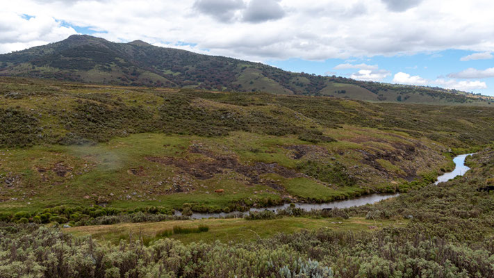 Landscape of the Bale National Park. Wet meadows.