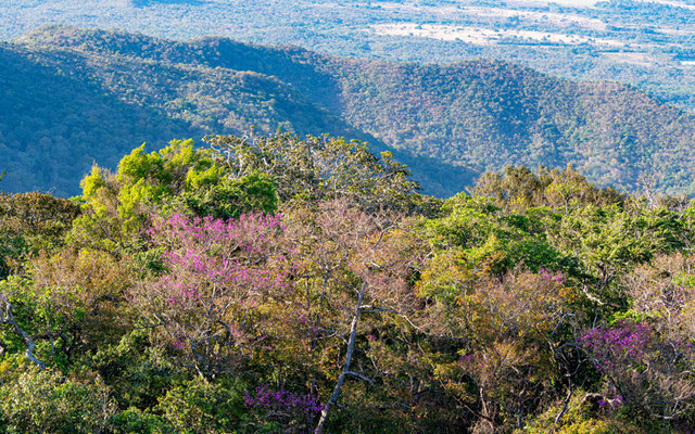 Parc national d'Emas