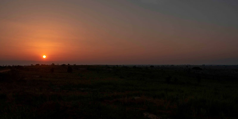 Coucher de soleil sue la savanne