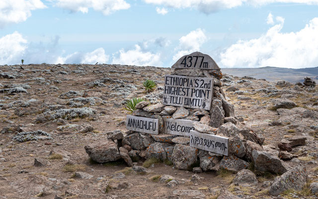 Tullu Dimtu, le plus haut sommet des montagnes de Bale, le 4e plus haut sommet d'Ethiopie. 4550m