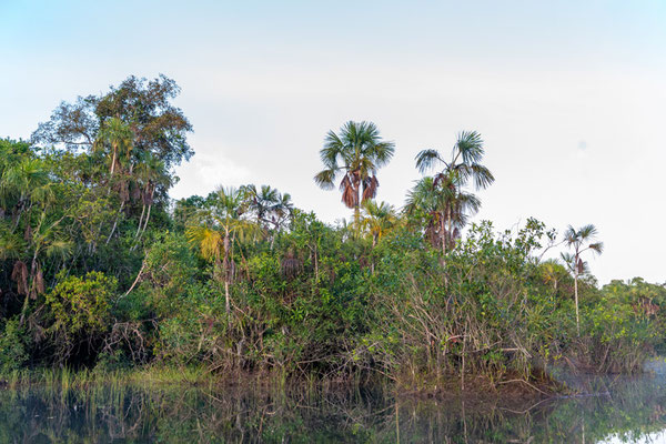 Rio Claro landscape