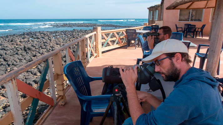 Seewatching depuis la terasse de l'hotêl Calao à Dakar