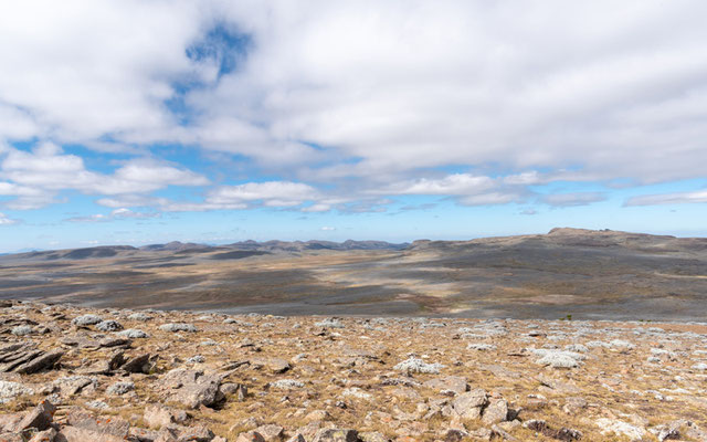 Paysage du plateau de Sanetti