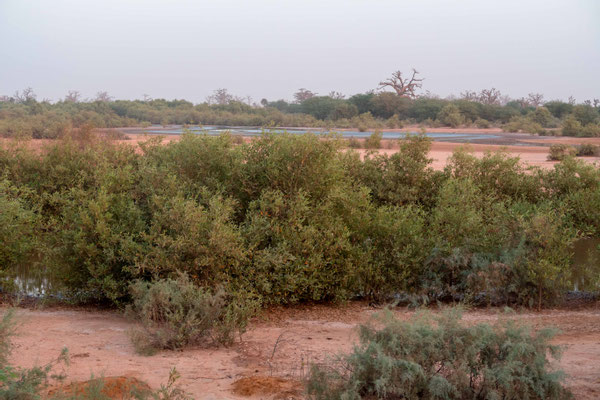 Lagune de la Somone