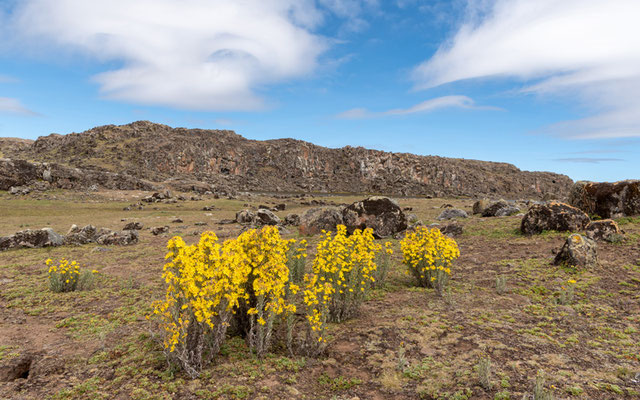 Paysage du plateau de Sanetti