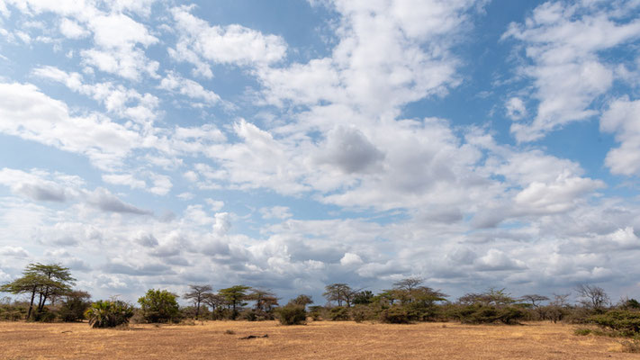 Paysage du Parc national de Selous.