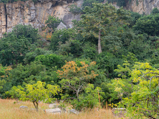 Paysage des Shai Hills 