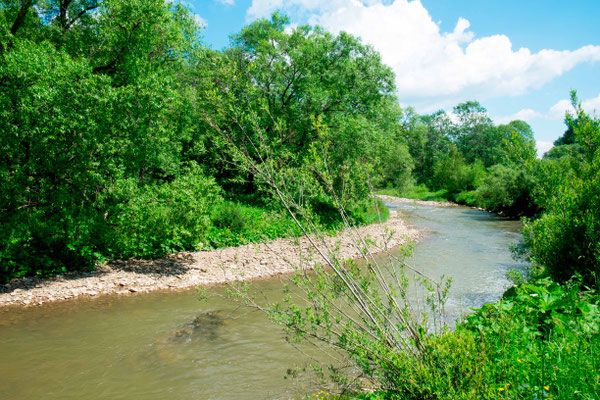 Rivière San marquant la frontière entre la Pologne et l'Ukraine