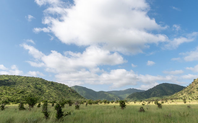 Mkomazi national park landscape