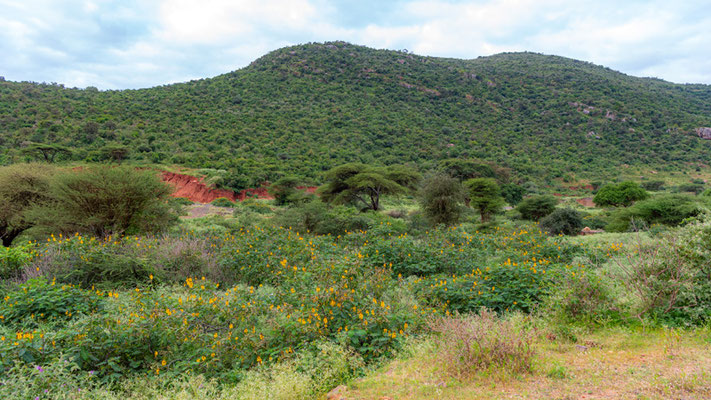 Paysage proche de la frontière kenyane.