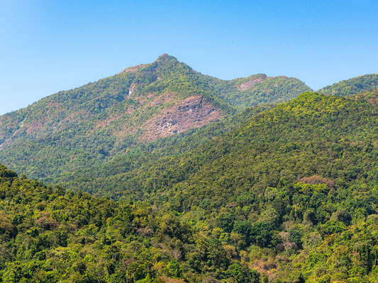 Forêt de montagne du PN de Mahale