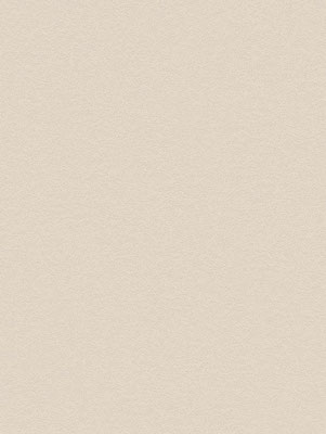 NH49 Snowflake Stucco