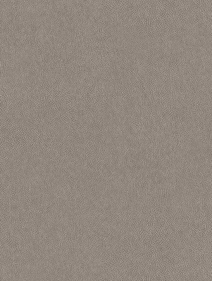 NE41 Grigio