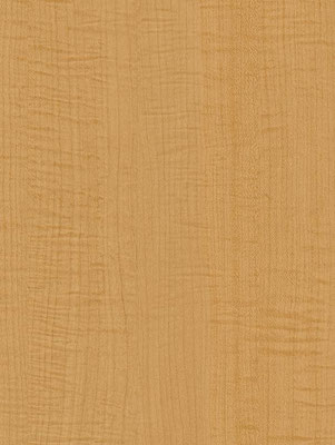 CT70 Yellow Sycamore 