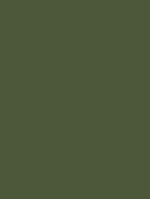 RM21 Army Green 