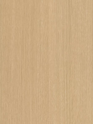 CT28 Beige Birch