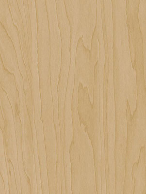 CT20 Gold Beige Birch 