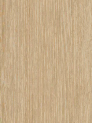 CT33 Basis Birch 