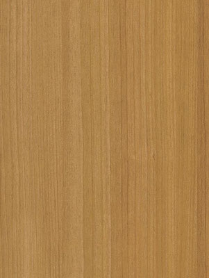 CT22 Honey Birch