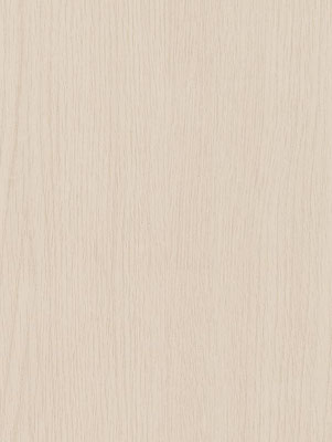 CT18 White Birch