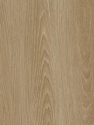 NH83 Golden Elm