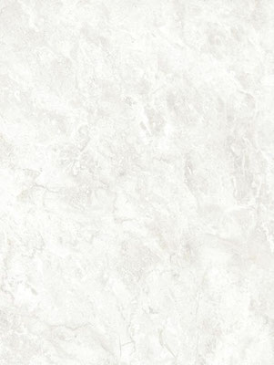 NG04 Crema 