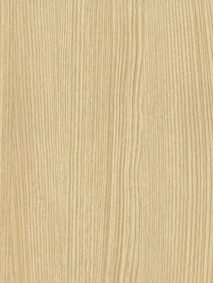 NF76 Blond Beech