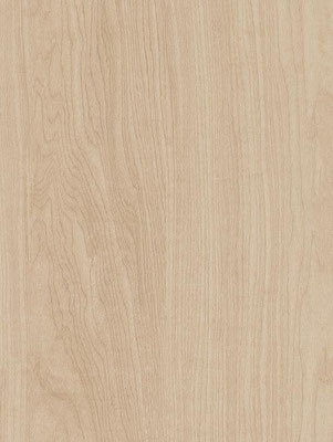 CT93 Beige Acacia
