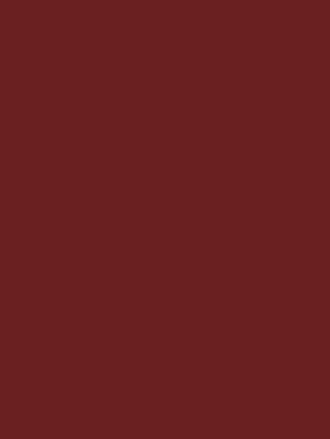 NF04 Vordeaux Red 
