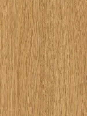 NF79 Honey Beech