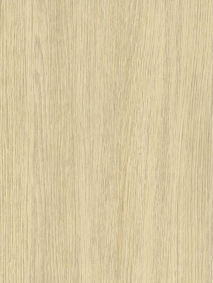 NF53 Ivory Oak
