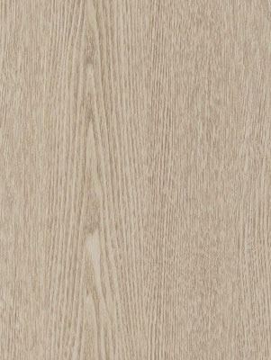CT17 Cream Ash