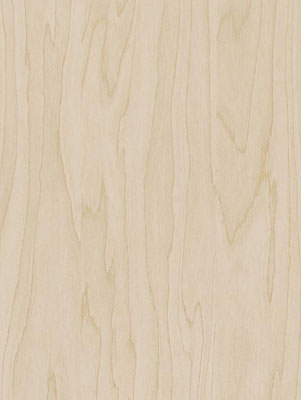 CT19 Gold Pale Birch