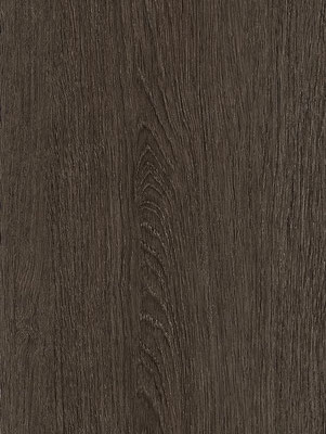 NF71 Tulip Dark