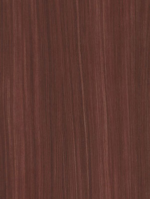 CT26 Bordeaux Birch