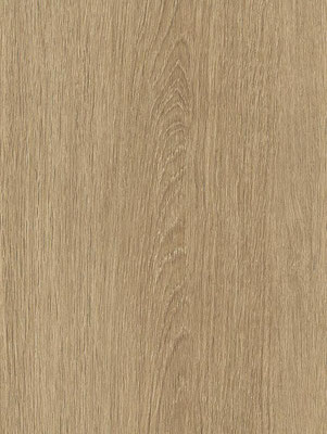 NF63 Nut Ash