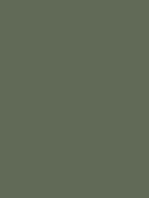 RM20 Sage Green 