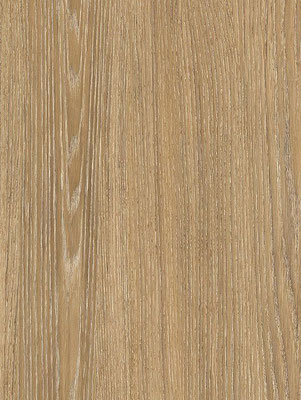 AA17 Beige Line Oak