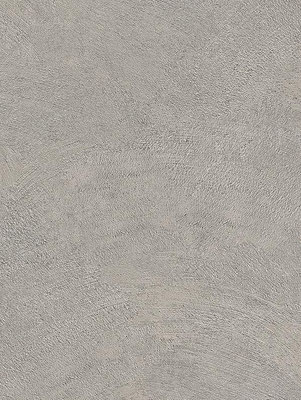 NE24 Raw Grey