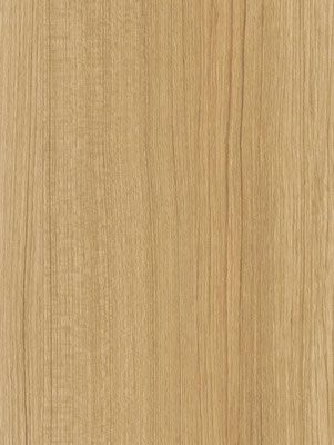 CT45 Beige Palm Tree