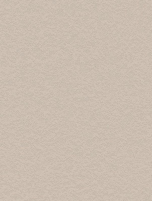 NH50 Cashmere Stucco
