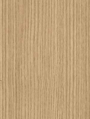 NF77 Almond Beech