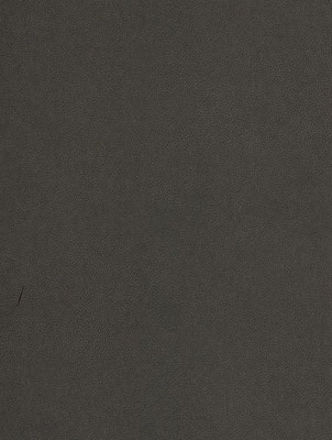 NE40 Truffle