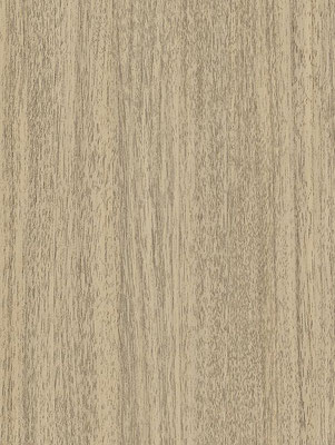 NH77 Brown Almond