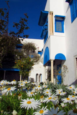 Sidi Bou Said