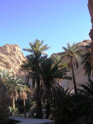 Oasis de montaña