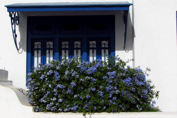 Sidi Bou Said