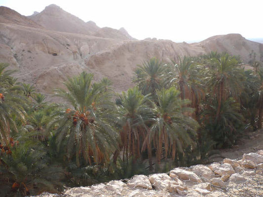 Oasis de montaña