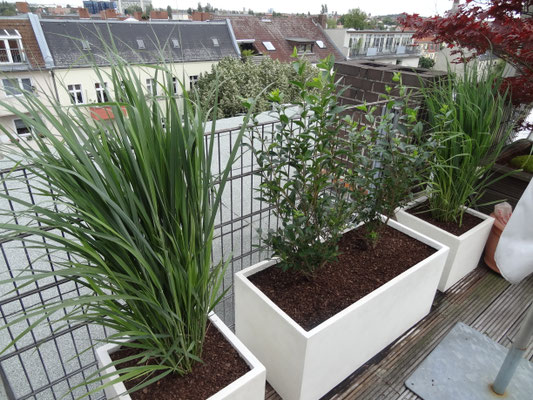 Gartenplanung Grunblick Gartengestaltung Gartenplanung Berlin